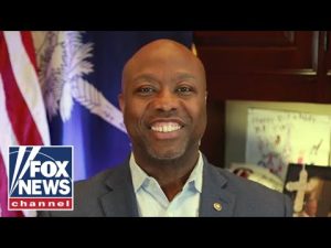 Read more about the article Tim Scott: This is the only way to be successful