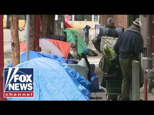 Read more about the article America’s homeless crisis has gone from bad to worse: Lawrence Jones