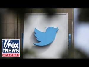 Read more about the article Twitter was built to shadow ban certain voices: Dave Rubin