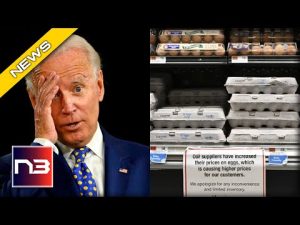 Read more about the article Inflation Down!? Don’t Believe The Lie, Your Grocery Prices Are Here To Stay!