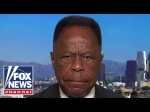 Read more about the article Leo Terrell: Democrats won’t let the race card go