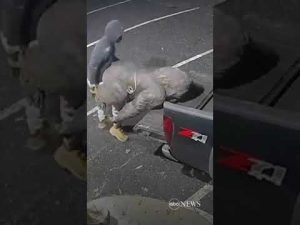 Read more about the article Maryland police investigating theft of gorilla statue | ABC News