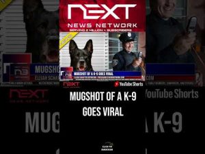 Read more about the article Mugshot of a K-9 Goes Viral #shorts