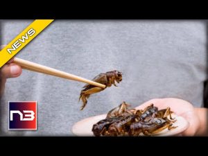 Read more about the article Bizarre Twist! Eating Bugs Is the New Normal in Europe
