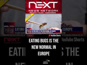 Read more about the article Eating Bugs Is the New Normal in Europe #shorts