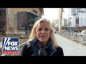 Read more about the article Terror watchlist, sex offender arrests surge at the border. Is America worried? | Americans Weigh In