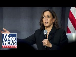 Read more about the article Prominent Dems voice doubts over Kamala Harris’ political future: Report