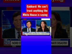 Read more about the article Tulsi Gabbard: The Biden admin has been lying all along #shorts