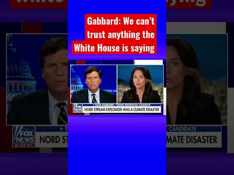 You are currently viewing Tulsi Gabbard: The Biden admin has been lying all along #shorts