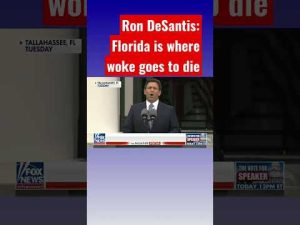 Read more about the article Ron DeSantis: Florida is a promised land of sanity #shorts #shortsvideo #shortsfeed