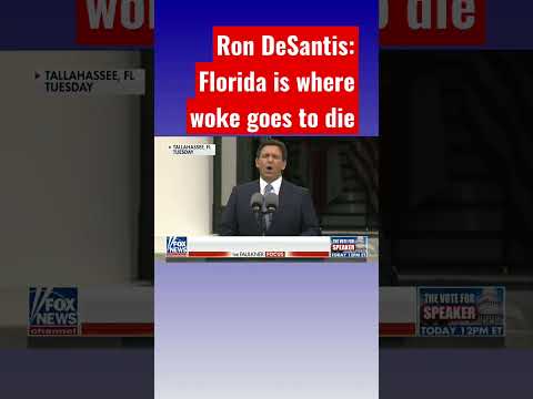 You are currently viewing Ron DeSantis: Florida is a promised land of sanity #shorts #shortsvideo #shortsfeed