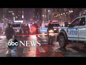 Read more about the article NYPD attack suspect targeted law enforcement: DA