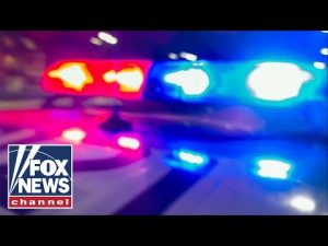 Read more about the article Idaho murders case breaks: How DNA led police to the suspect | Fox News Rundown