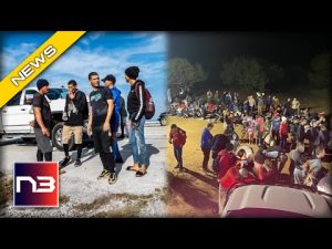 Read more about the article Emergency! National Park Closed Due To Illegal Invasion!