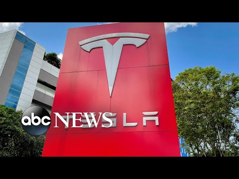 You are currently viewing Tesla stock plummets after disappointing sales report