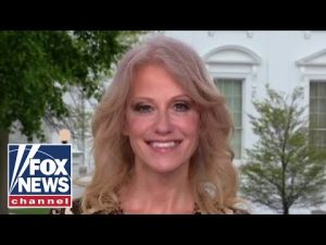 Read more about the article Kellyanne Conway: This is getting dangerous