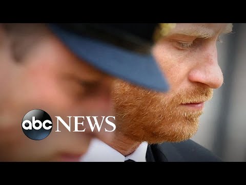 You are currently viewing Accountability, apologies are ‘unfinished business’ for Prince Harry: Royal expert l ABCNL