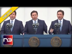 Read more about the article Every Freedom-Loving Patriot is Talking about Ron DeSantis’ Inaugural Speech