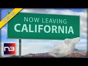 Read more about the article Staggering Report: People Fleeing Collapsed Liberal Places in Droves
