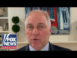 Read more about the article Steve Scalise: This game has to end