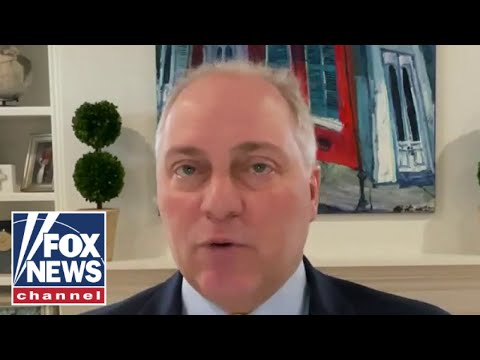 You are currently viewing Steve Scalise: This game has to end