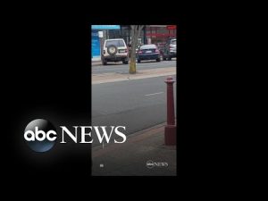 Read more about the article Koala out for morning stroll holds up traffic