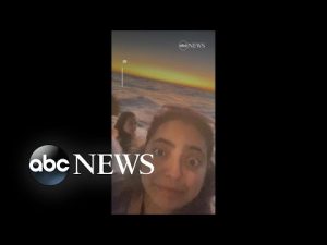 Read more about the article Family can’t control excitement as whales come near boat
