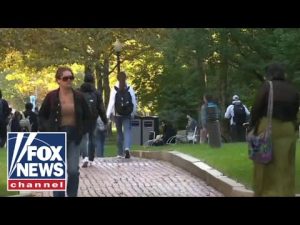 Read more about the article Dr. Todd Rose: States Realizing College Degrees Are A Barrier | Brian Kilmeade Show