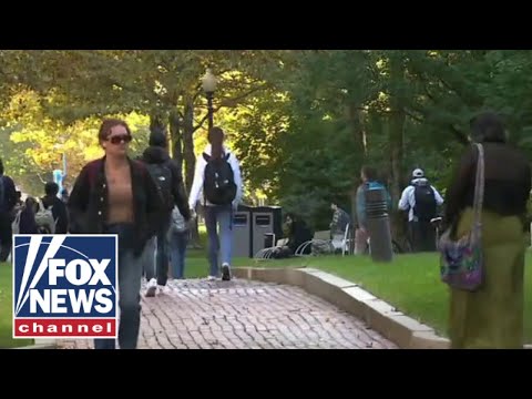 You are currently viewing Dr. Todd Rose: States Realizing College Degrees Are A Barrier | Brian Kilmeade Show
