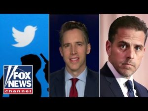 Read more about the article The FBI and Twitter saved Hunter Biden: Sen. Josh Hawley