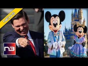 Read more about the article The Florida Plan To Seize Walt Disney World – Find Out More Here!