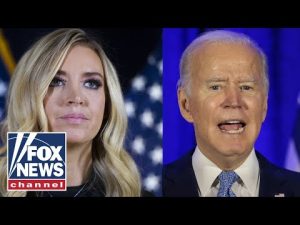 Read more about the article Kayleigh McEnany: Who was ‘the big guy?’