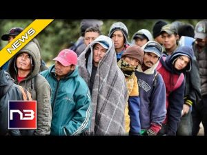Read more about the article ALERT: Biden Administration Unleashes a Wave of Criminal Immigrants onto American Cities!