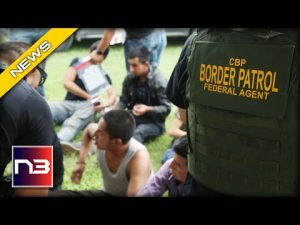 Read more about the article Breaking News: Border Chief Stuns Congressional Committee With Harsh Words On Illegal Immigration