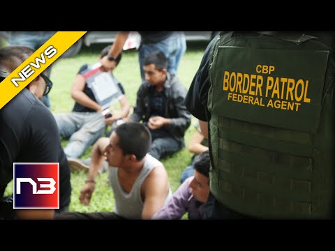 You are currently viewing Breaking News: Border Chief Stuns Congressional Committee With Harsh Words On Illegal Immigration