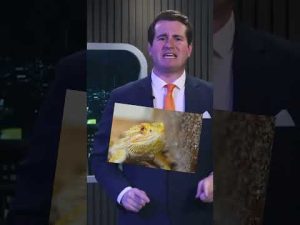 Read more about the article THEY’RE ALL LIZARD PEOPLE | #Shorts