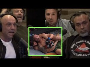 Read more about the article The Fight Companion Reaction to Volkanovski vs. Makhachev Decision
