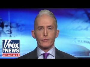 Read more about the article Trey Gowdy: This system failed