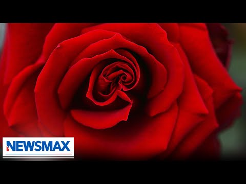 You are currently viewing What women really want for Valentine’s Day | Wake Up America