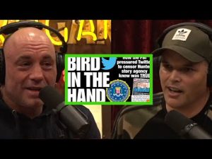 Read more about the article Matt Taibbi Surprised by FBI & Twitter’s Collusion; Russiagate Info in Twitter Files