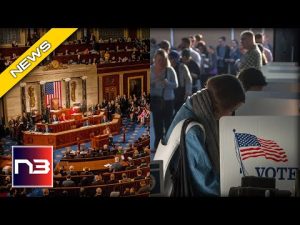 Read more about the article GOP Crushes D.C’s Hopes For Illegal Immigrant Voting Rights!