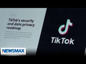 Read more about the article Chinese TikTok is planting seeds to bring down the US: Mike Flood | National Report