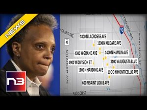 Read more about the article CRIMINAL INSANITY Reigns: Violent Robbery Spree Engulfs Lightfoots Chicago