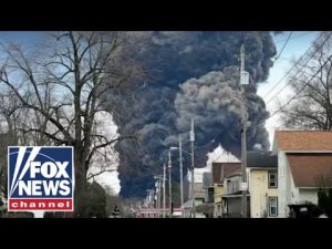Read more about the article This is an environmental catastrophe: Attorney