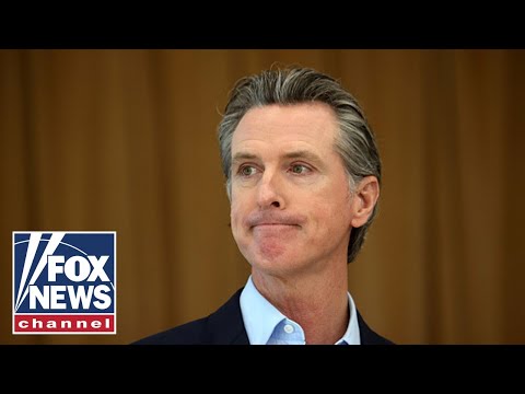 You are currently viewing This is another green lie: Ingraham