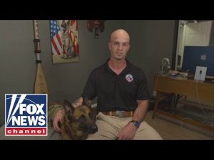 Read more about the article Retired Marine dog honored for combat heroism