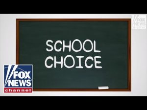 Read more about the article What is it? School Choice | Digital Originals