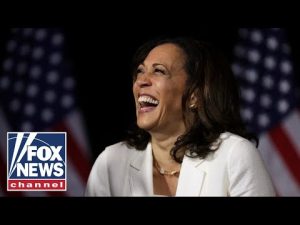Read more about the article Kamala Harris gave me a headache: Leo Terrell