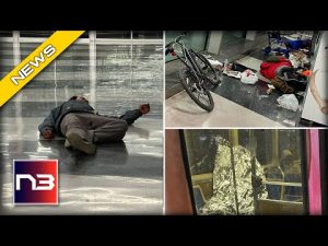 Read more about the article Busiest Airport Gets Unwelcome SURGE of Homeless Residents As Critics Cry ‘None Of Us Feel Safe’
