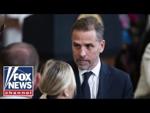 Read more about the article Obama-era intel official ripped for ‘laughable’ pivot on Hunter Biden story
